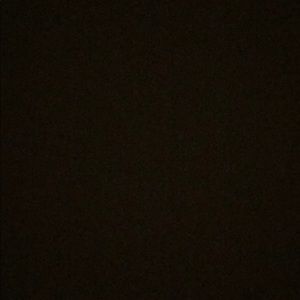 Meet your Posher, Ava